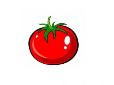 Рисунок томат: Раскраска помидор —